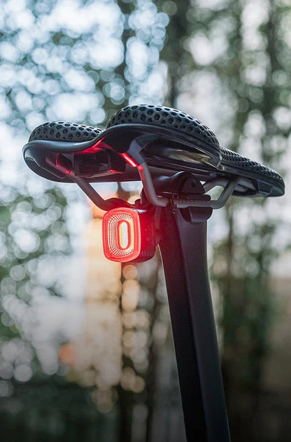 ROCKBROS Local Ship Bicycle Brake Light Ipx6 Taillight Type-C Bike Tail Rear Light Auto LED Riding Warning Safe Cycling Light