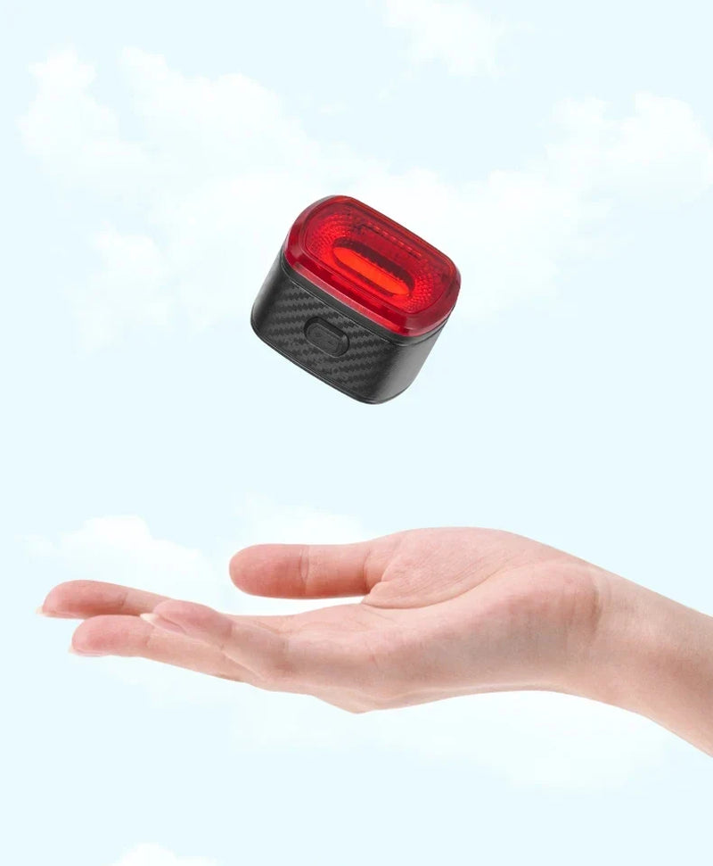 ROCKBROS Local Ship Bicycle Brake Light Ipx6 Taillight Type-C Bike Tail Rear Light Auto LED Riding Warning Safe Cycling Light