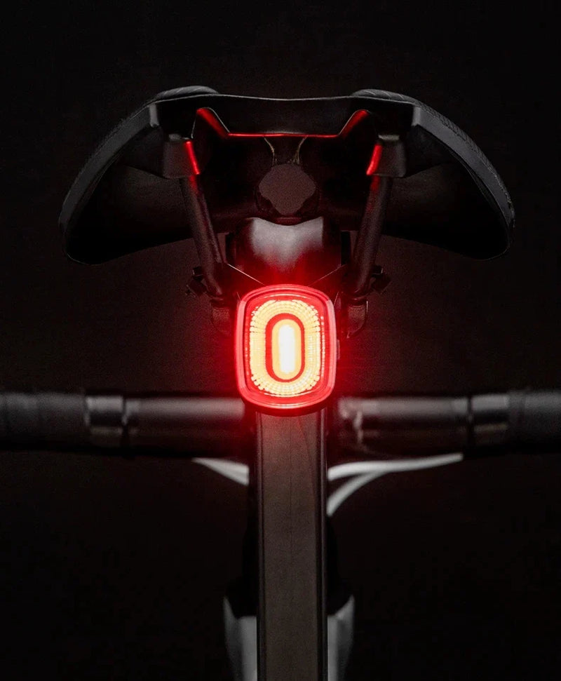 ROCKBROS Local Ship Bicycle Brake Light Ipx6 Taillight Type-C Bike Tail Rear Light Auto LED Riding Warning Safe Cycling Light