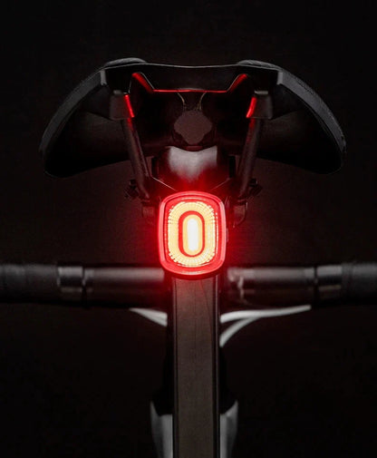 ROCKBROS Local Ship Bicycle Brake Light Ipx6 Taillight Type-C Bike Tail Rear Light Auto LED Riding Warning Safe Cycling Light